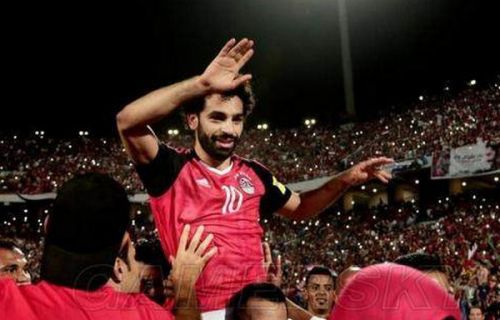 世界杯沙特阿拉伯VS埃及比分结果预测 沙特阿拉伯VS埃及实力对比饭分析