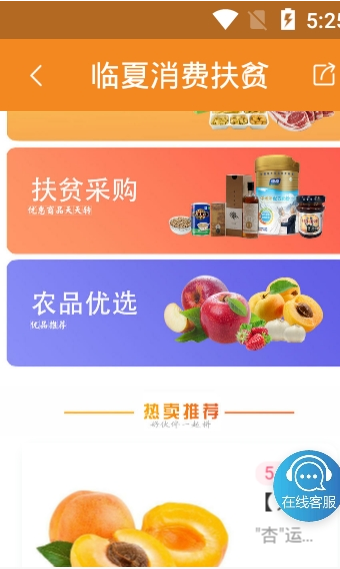 临星空体育在线登录夏消费扶贫APP