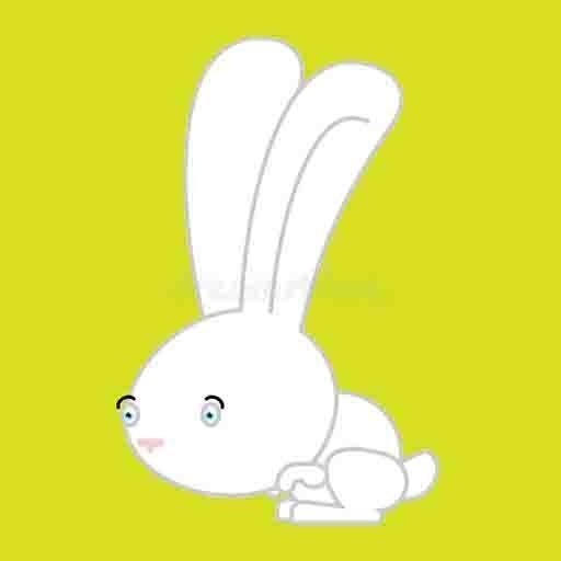 兔宝日记app