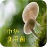 中华食用菌app