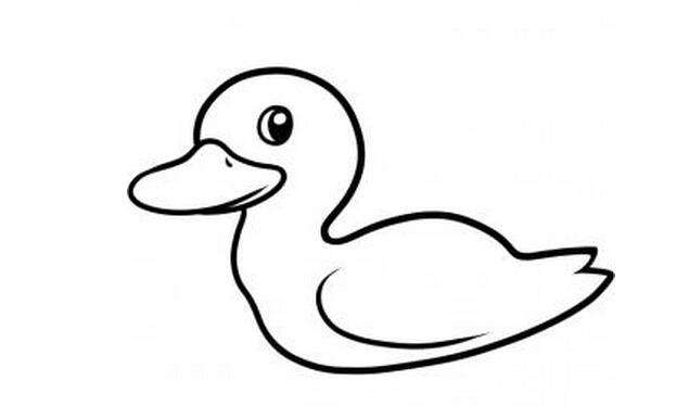 QQ画图红包怎么画鸭子 QQ画图红包鸭子画法一览 