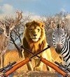 非洲丛林狩猎app
