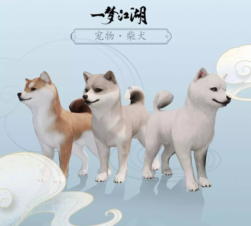 一梦江湖新宠物柴犬怎么样 新宠物柴犬图文展示