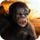 猿的终极冒险app