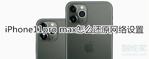 iPhone11pro max如何还原网络设置