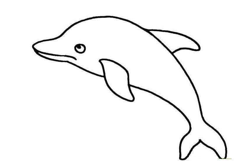 qq红包海豚怎么画？QQ画图红包所有图案画法汇总