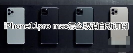 iPhone11pro max如何取消自动订阅