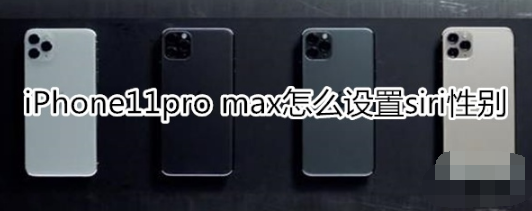 iPhone11pro max如何设置siri性别