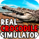 真正的鳄鱼模拟器最新版