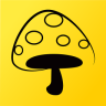 蘑菇丁app