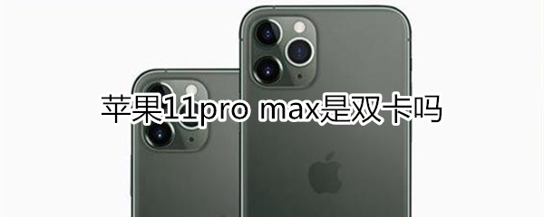 苹果11pro max支持双卡吗