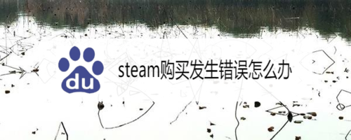 steam购买发生错误如何解决