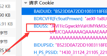 ie浏览器怎么复制cookie数据