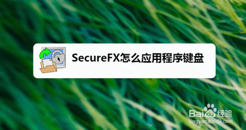 SecureFX开启应用程序键盘方法分享
