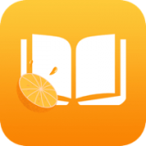 橙子小说