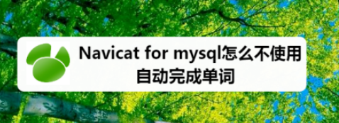 Navicat for mysql取消使用自动完成单词流程介绍