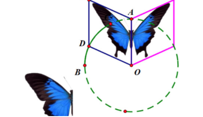 几何画板蝴蝶动画设计方法介绍