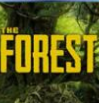 森林二十一项游戏修改辅助器