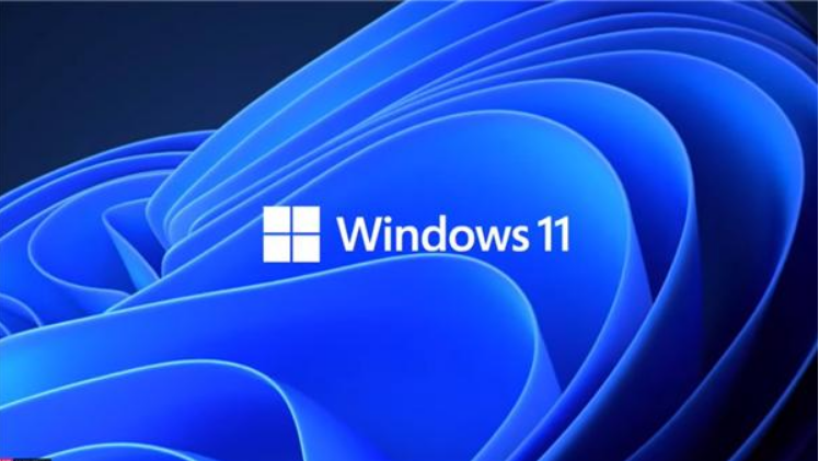 Windows11中文输入法添加教程分享