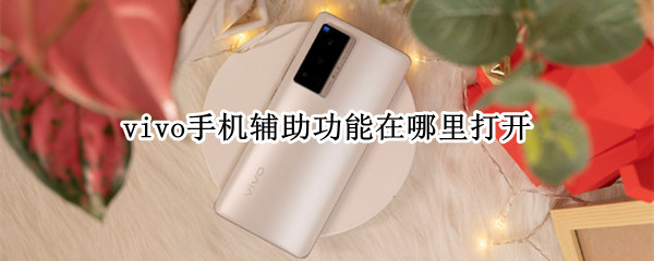 vivoX70Pro有辅助功能吗