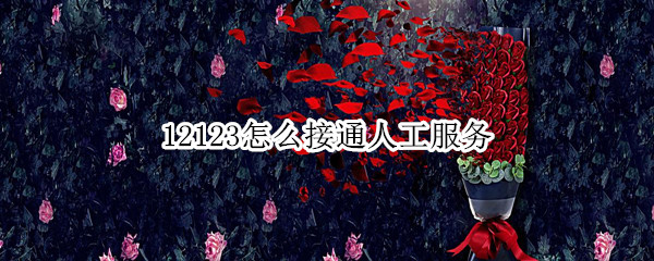 交管12123人工客服在哪里联系