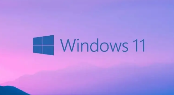 Windows11设置文件下载路径教程分享