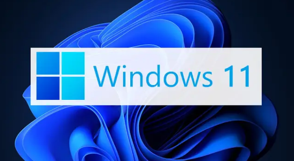 Windows11设置文件后缀名技巧分享