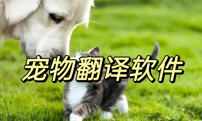 宠物翻译软件