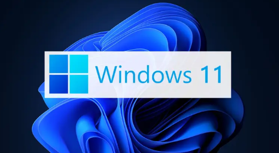 Windows11打开切屏快捷键技巧分享