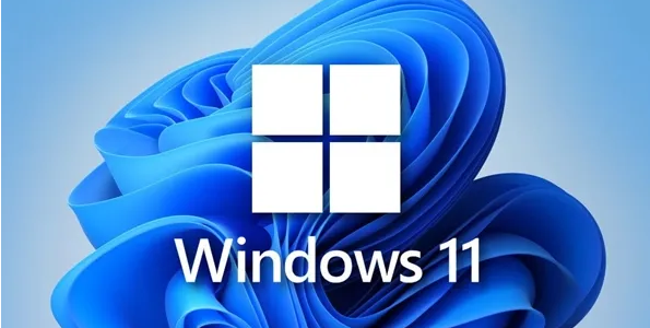 Windows11打开设备同步备份功能技巧分享