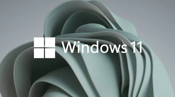 Windows11设置虚拟内存技巧分享