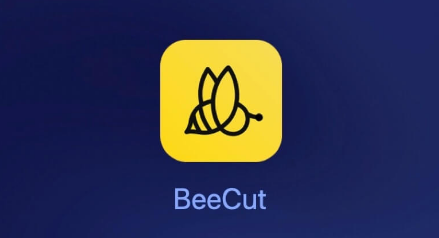 蜜蜂剪辑怎么将字幕设置为黑底