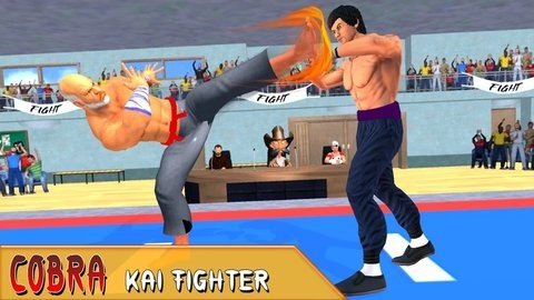 功夫空手道格斗(Tag Team Kung Fu Karate Fight)