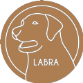 Labrador币