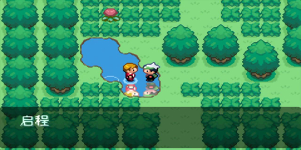 口袋妖怪:永恒之焱