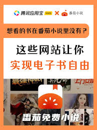 番茄小说如何去除广告