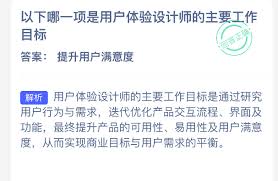 用户体验设计师的主要工作目标是什么