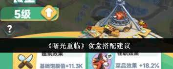 曙光重临食堂怎么搭配