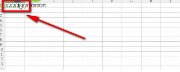 Excel中实现一个单元格打两排字的具体操作方法