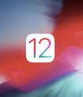 iOS12中将手机桌面图标隐藏的具体操作方法