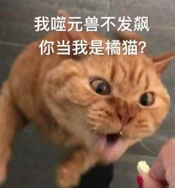 我噬元兽不发飙,你当我是橘猫?