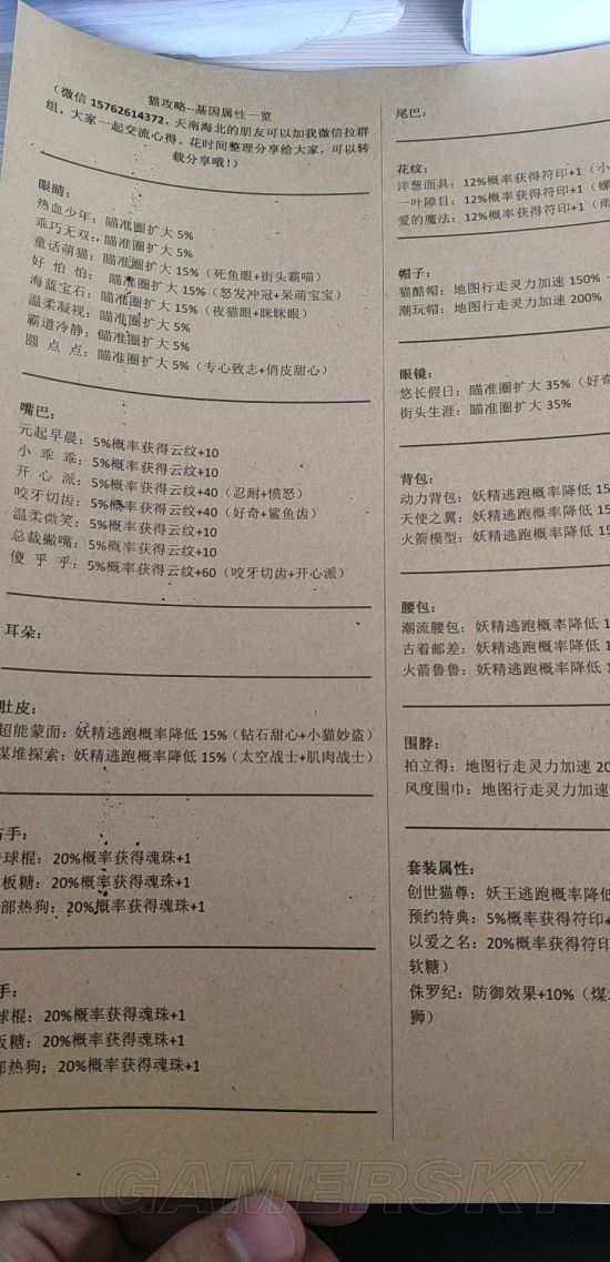 一起来捉妖猫攻略 养猫技巧