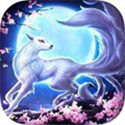 青丘之恋 