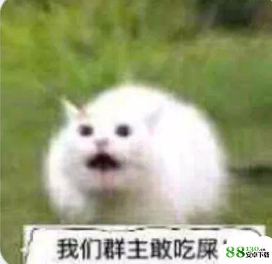 我们群主敢日仙人球无水印表情包