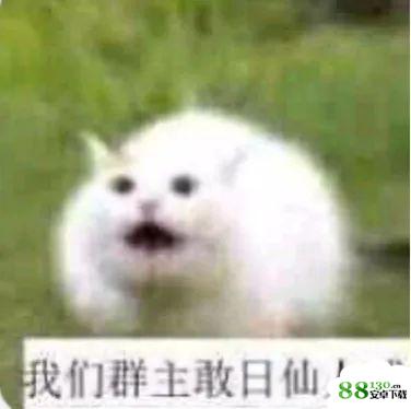 我们群主敢日仙人球无水印表情包