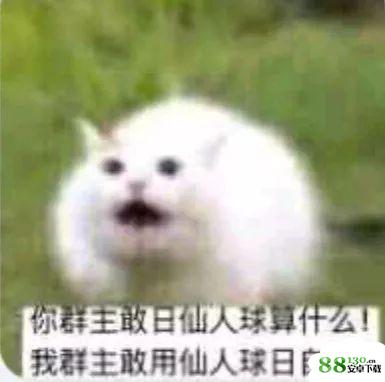 我们群主敢日仙人球无水印表情包