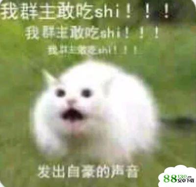 我们群主敢日仙人球无水印表情包
