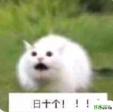 我们群主敢日仙人球无水印表情包