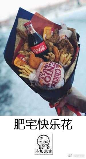 【肥宅快乐花表情包】高清无水印图片分享
