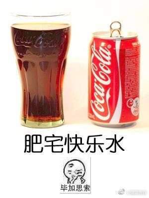 肥宅快乐花是什么意思_肥宅快乐花是什么梗出处